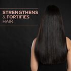 Luxury Black Seed Oil Blend Gentle Cleansing Shampoo, , large image number null